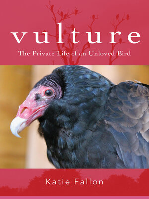 cover image of Vulture